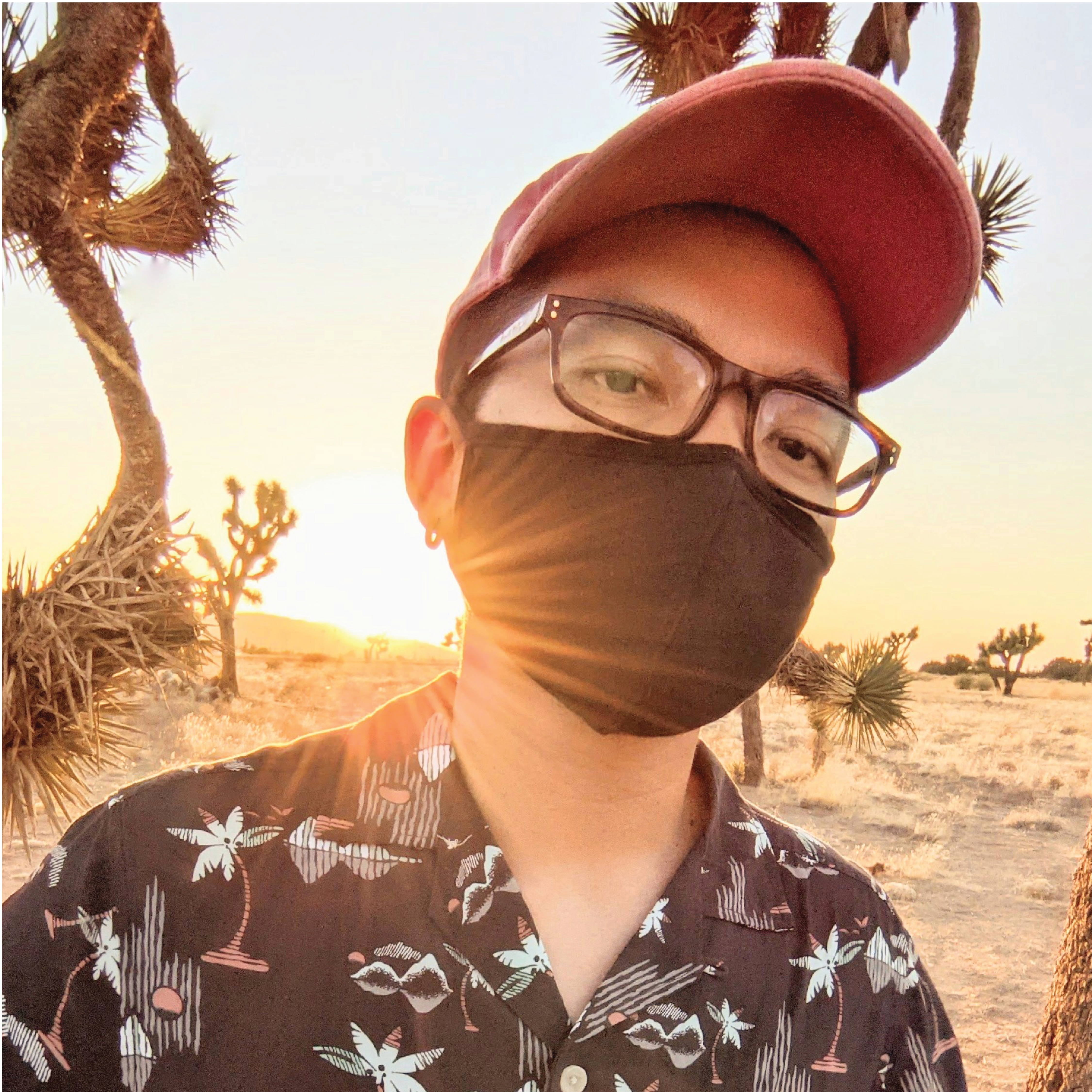 A short-haired person with glasses, a small black round earring on the right ear, and black mask wearing a pink cap and gray shirt, with patterns of a beachy scenery with palm trees, the sun and mountains, designed in a simple silhouette pattern in shades of pink and light teal. The background is a desert with joshua trees. The setting sun sits on the mountains on the horizon by the person's right shoulder, its golden rays reaches out behind the ear and across the person's cheeks, giving the right ear a deep orange color. Its light paints highlights on the tree at the far right of the image, and overall creating a warm yellow-orange tone.
